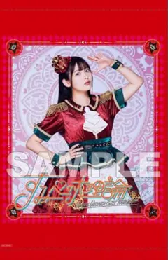 上坂すみれ すみぺの大理論 ゲーマーズ 特典タペストリー