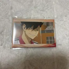 ハイキュー スタパネ 黒尾鉄朗