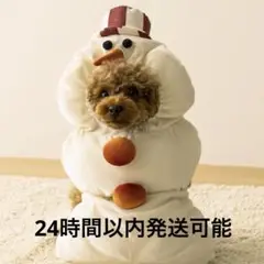 Item thumbnail for item 9cf062ef-7723-434b-a374-a52b7541ab44