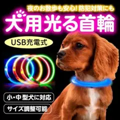 首輪 ブルー 犬 光る 夜の散歩 LEDライト USB充電 ドッググッズ 安全