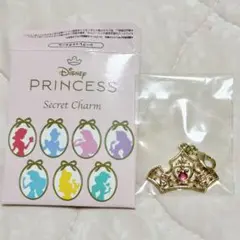 プリンセス シークレットチャーム オーロラ姫