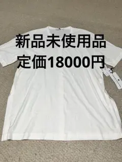 新品未使用品 定価18000円PIERRE BALMAIN 半袖カットソー 38