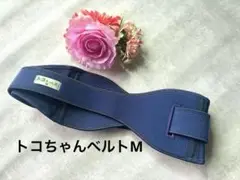 Item thumbnail for item 50f2379d-e69f-4644-9607-ff9ae90d26a3