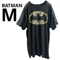 Item thumbnail for item 1f28e0d8-df69-4f16-a77b-21e442f0f67c