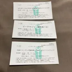 リザンシーパーク無料券セット