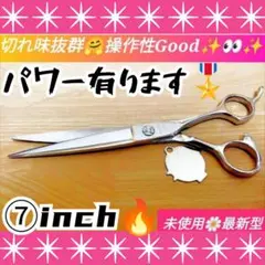 Item thumbnail for item d14cc38a-cdd7-47c2-ab24-0ba06f68ec6c