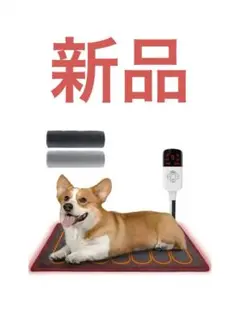 Item thumbnail for item e4218829-4f1d-4c6c-9085-bdd513d53624