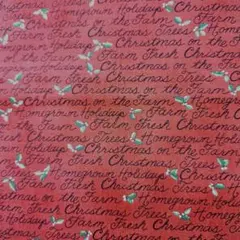 セール！モダ　クリスマス　英字　1m