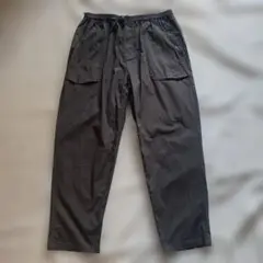STABRIDGE CITY WALKER PANTS 2