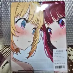 1300 バスタオル タペストリー 萌タオル N39193