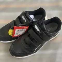 Item thumbnail for item 8c343222-39a2-44d2-ac8c-652c65a0de84