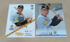 Item thumbnail for item aee28bd7-1fb1-4ebc-bf2a-59d1d02b0d18