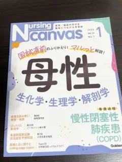 ナーシングキャンバス 2024 1月 看護過程 母性 慢性閉塞性肺疾患 COPD