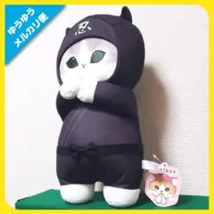 Item thumbnail for item 8e6f1629-b9d4-4fb1-a3ae-ebf5c10fc6da