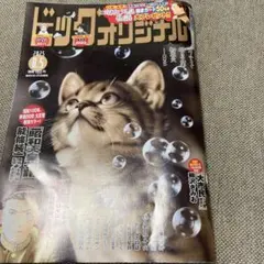 ビックコミックオリジナル、8月5日号