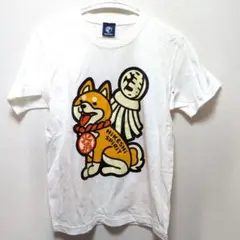 火消魂　浅草限定　柴犬　浅柴　T シャツsサイズ