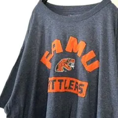 チャンピオン FAMU RATTLERS 刺繍 Tシャツ 2XL グレー 古着
