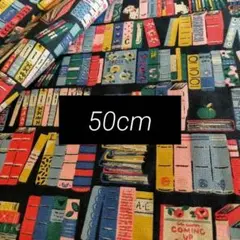 AU37【50cm】キャスキッドソン ビリーと本棚