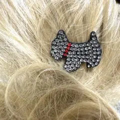 Item thumbnail for item cc11e1bc-5523-4a08-abe1-9644a580c58b