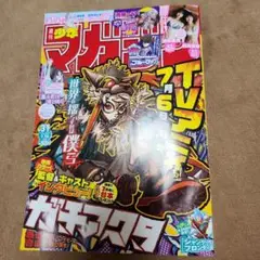 週刊少年マガジン2025年31号