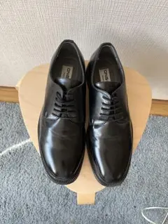 Item thumbnail for item e23c36f0-e465-42c4-b82e-cbcf6c8a8559