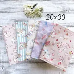 ランチョンマット20×30 女の子　ゆめかわ　ユニコーン　うさぎ　5枚