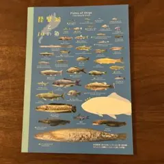琵琶湖博物館　ノートブック