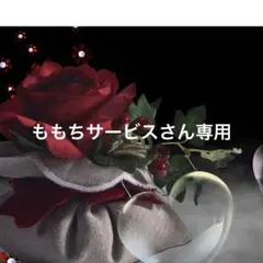 ももちサービスさん専用