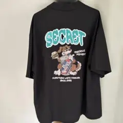 Item thumbnail for item 44bb6d4a-f080-4967-bd6a-1f09b8eed629