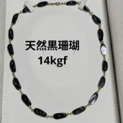 黒珊瑚の原木 2025年最新】黒珊瑚 原木の人気アイテム - メルカリ
