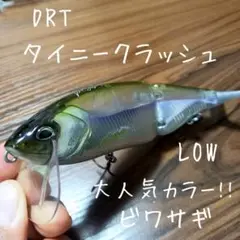 2025年最新】タイニークラッシュ ビワサギの人気アイテム - メルカリ
