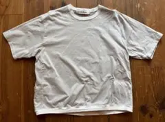 【Caledoor/カレドアー】アイスパックナイロンTシャツ(WHITE/M)