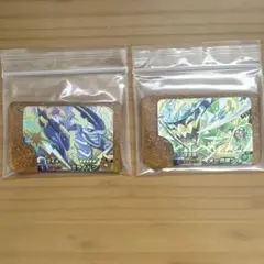 ポケモンフレンダ レガシー ミライドン オーガポン 2枚セット