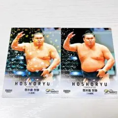 Item thumbnail for item 3e5020d6-12c6-4d03-b6b5-f59df929499c