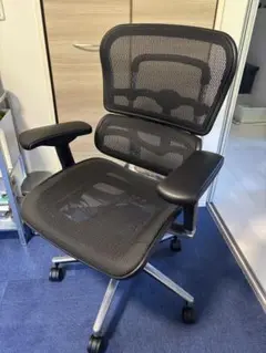 Ergohuman Pro エルゴヒューマンプロ ブラック