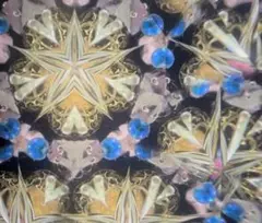 オイル万華鏡
