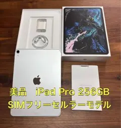 美品 iPad Pro 11インチ 256GB Cellular SIMフリー