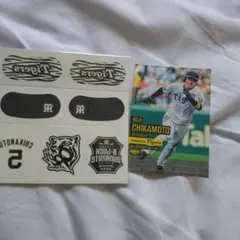 Item thumbnail for item d136e572-6d38-4fac-a644-e5544894285b