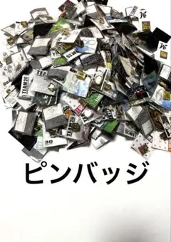 千葉ロッテマリーンズ ピンバッジ セット 大量