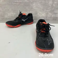 ミズノ バトミントンシューズ 室内用 ウエーブ クロー2 スポーツシューズ 部活