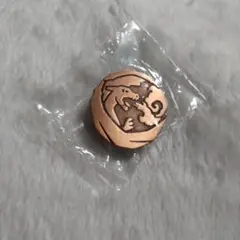 ポケモン　リザードン　ポケ紋　ぴんずこれくしょん　其の一