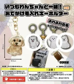 いつもわんちゃんと一緒！ お出かけ毛入れキーホルダー 3種×2セット