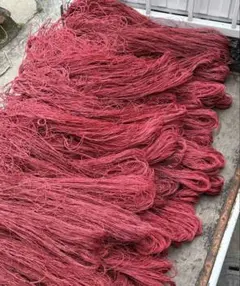 海人さん専用 海苔網中古２０枚（緑） ☆特価☆海苔網☆20枚☆中古☆害獣防止網☆ ベランダネット☆畑