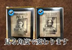 シリウスブラック ゲイリーオールドマン 手配書 ポスター　ミナリマ シリウスブラック ゲイリーオールドマン 手配書 ポスター