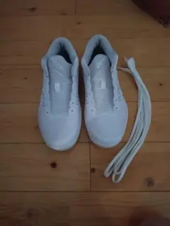 Item thumbnail for item 06c6b02f-98a2-407b-9aca-1ba0117c66a1