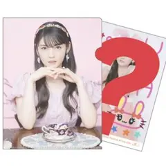【道重さゆみ バースデーライブ2023 ミニファイル付きコレクション生写真】