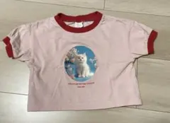 しまむら softcheese 猫ちゃんTシャツ　100