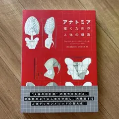 アナトミア 描くための人体の構造