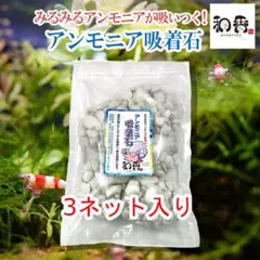 アンモニア吸着石 3ネット 関連:めだか金魚クロレラ熱帯魚AJ