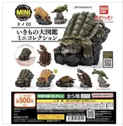 いきもの大図鑑 ミニコレクション カメ01 全5種セット フルコンプ ガチャ